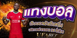 แทงบอลfun88UFABET